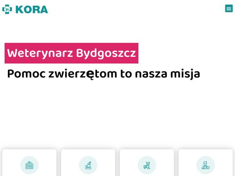 Lecznica-kora.pl - klinika weterynaryjna Kora