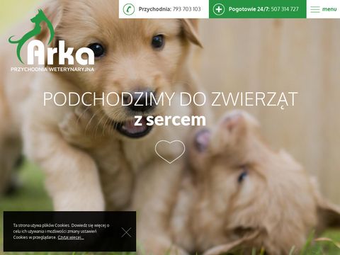 Arka - przychodnia weterynaryjna Rzeszów